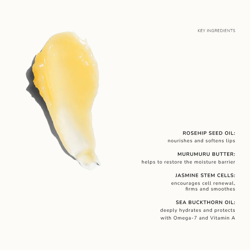 Lip Balm Key Ingredients List